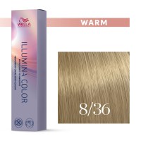 Illumina-Color-8-363